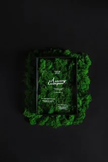 LITERA.STUDIO