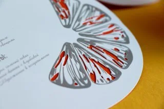 LITERA.STUDIO